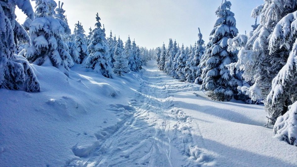 'Portes du Sleigh' Why Spend Christmas in Morzine?